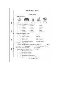 河北省邯郸市丛台区2024-2025学年五年级上学期期中英语试题