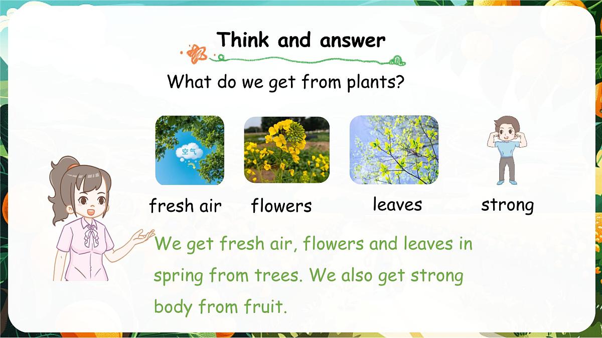 人教版PEP(2024)英语三年级上册 Unit 4 Plants around us Part B(1)Let’s talk ~ Look and discuss(课件)第3页