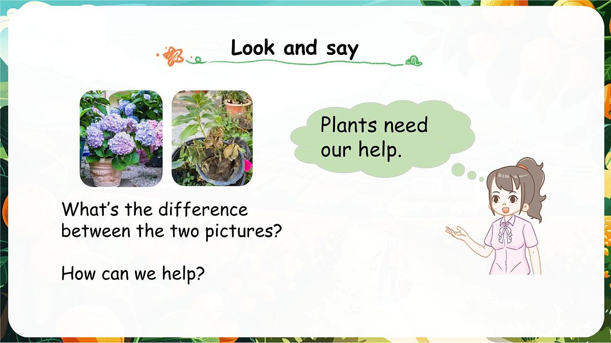 人教版PEP(2024)英语三年级上册 Unit 4 Plants around us Part B (2) Let's learn~Listen and chant(课件)第3页