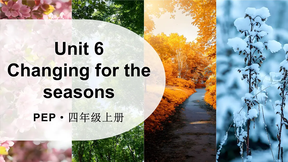 人教版PEP(2024)英语四年级上册 Unit 6 Changing for the seasons 单词讲解(课件)第1页
