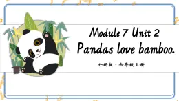 Module 7 Unit 2 Pandas love bamboo.課件