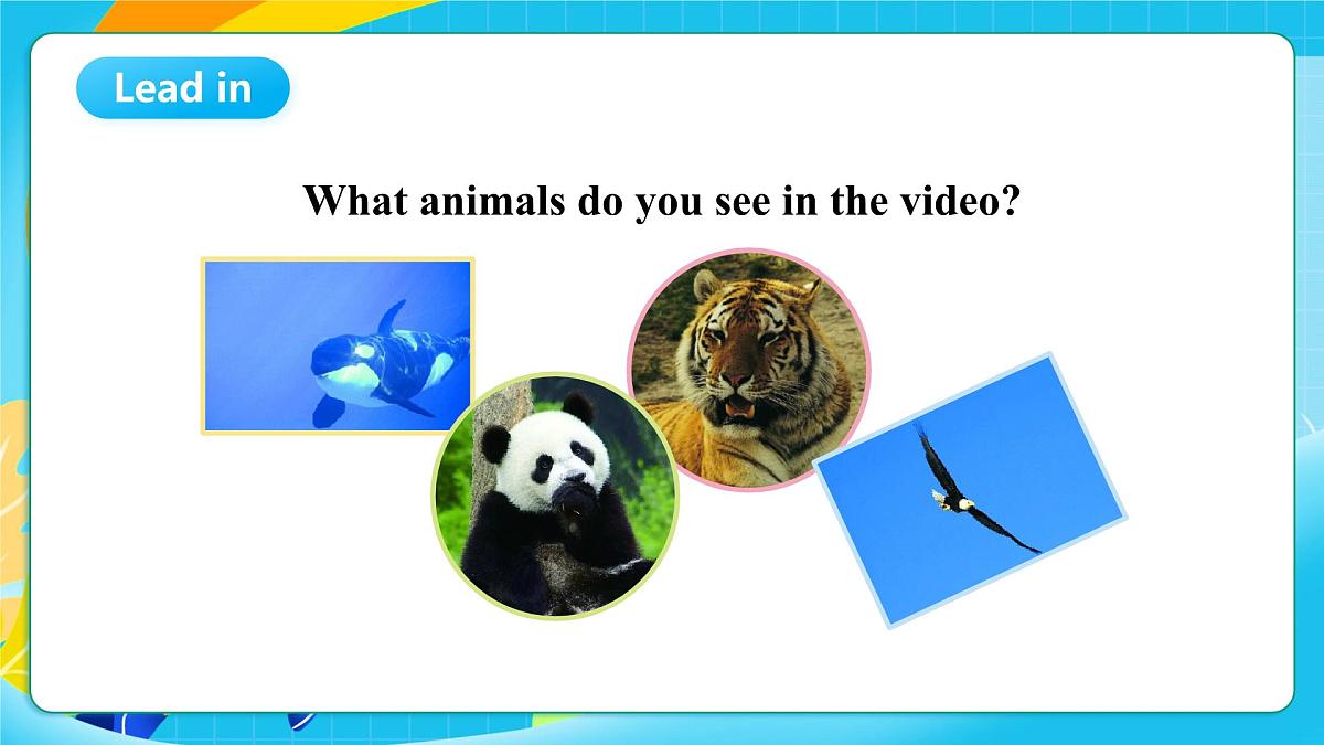 沪教牛津版(六三制一起)英语六上 Module 2 Unit 5《Animals in danger》第1课时 课件第5页