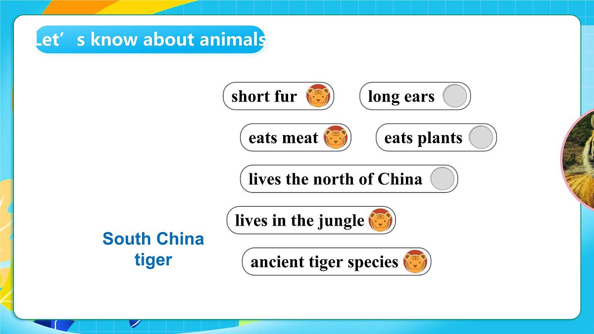 沪教牛津版(六三制一起)英语六上 Module 2 Unit 5《Animals in danger》第1课时 课件第7页