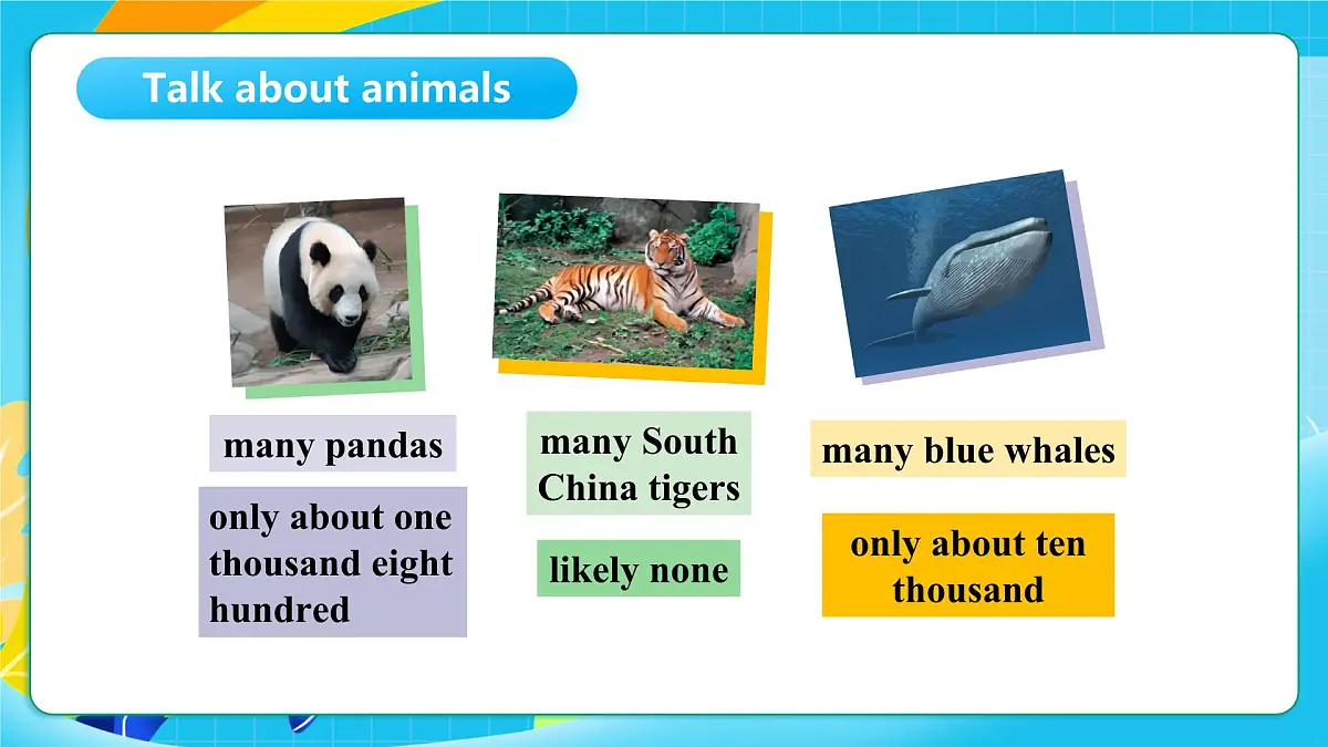 沪教牛津版(六三制一起)英语六上 Module 2 Unit 5《Animals in danger》第2课时 课件第3页