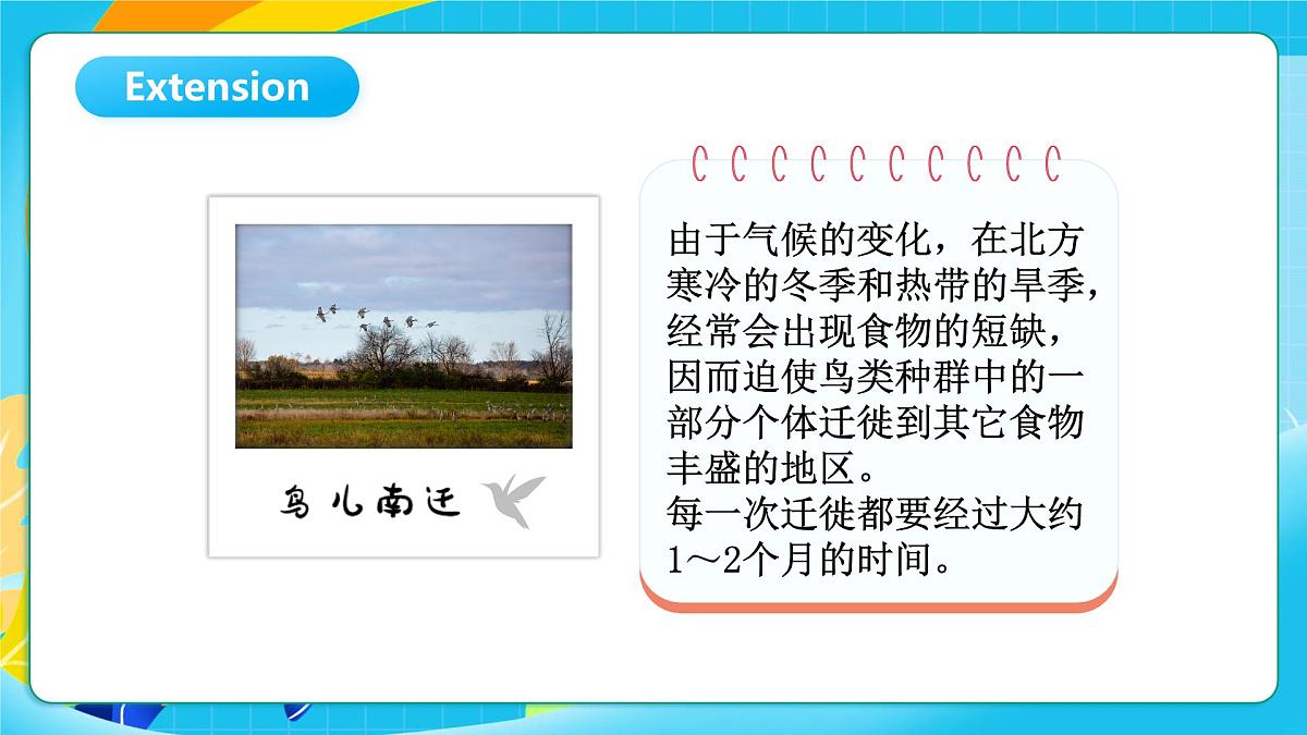 沪教牛津版(六三制一起)英语六上 Module 4 Unit 11《Trees》第2课时 课件第7页
