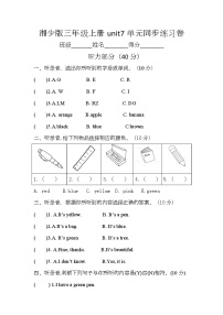 英语三年级上册（2024）Unit 7 What colour is it?精品单元测试练习题