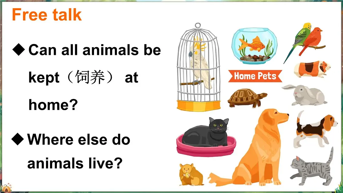 人教英语三上Unit 3 Amazing animals Part B 第4课时(课件)第4页