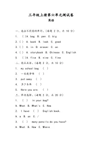 小学英语Unit 6 My schoolbag精品单元测试课时练习