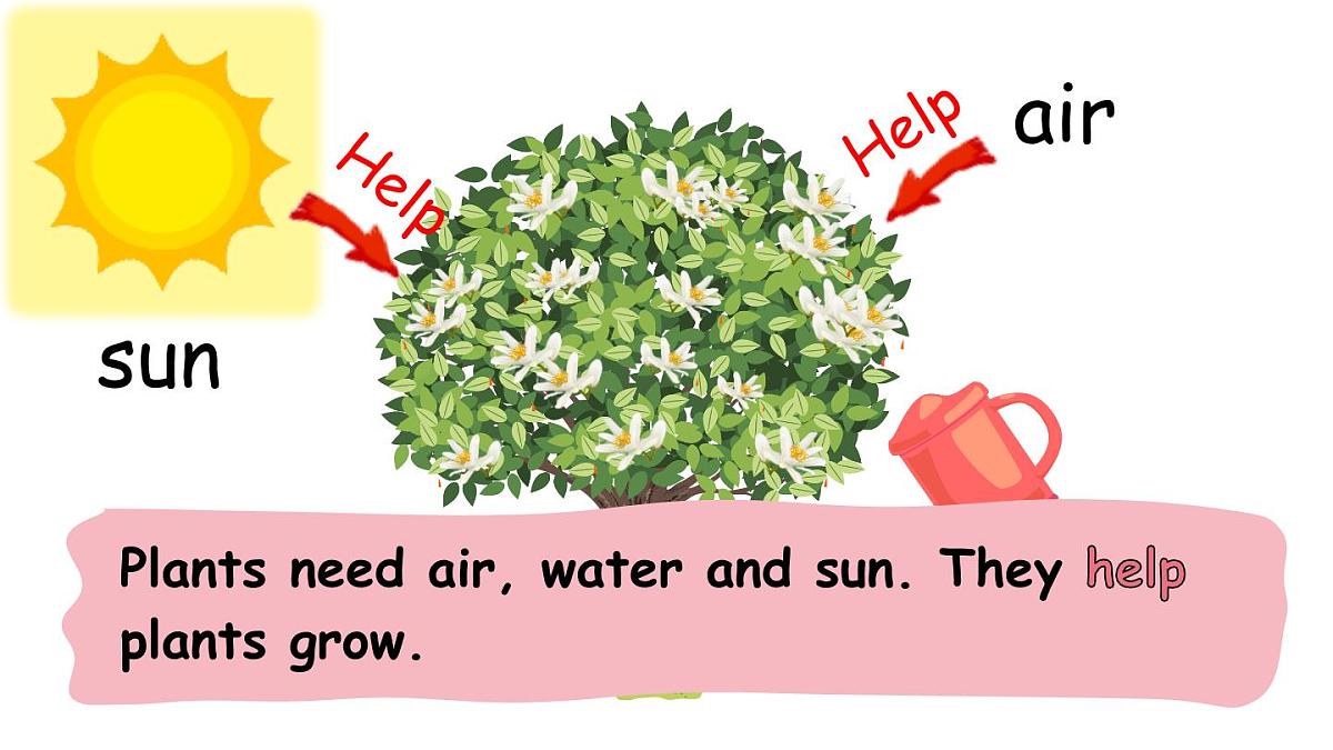 2025年人教三年级英语上册Unit 4 Plants around us B Start to read, C Project & Reading time课件第6页