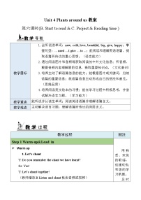 小学英语人教版PEP（2024）三年级上册（2024）Unit 4 Plants around us Part B表格教案及反思