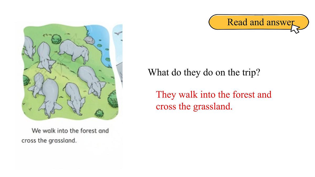 北京版英语四年级上册Unit 6 Get Close to Nauture Lesson 22 -课件第7页