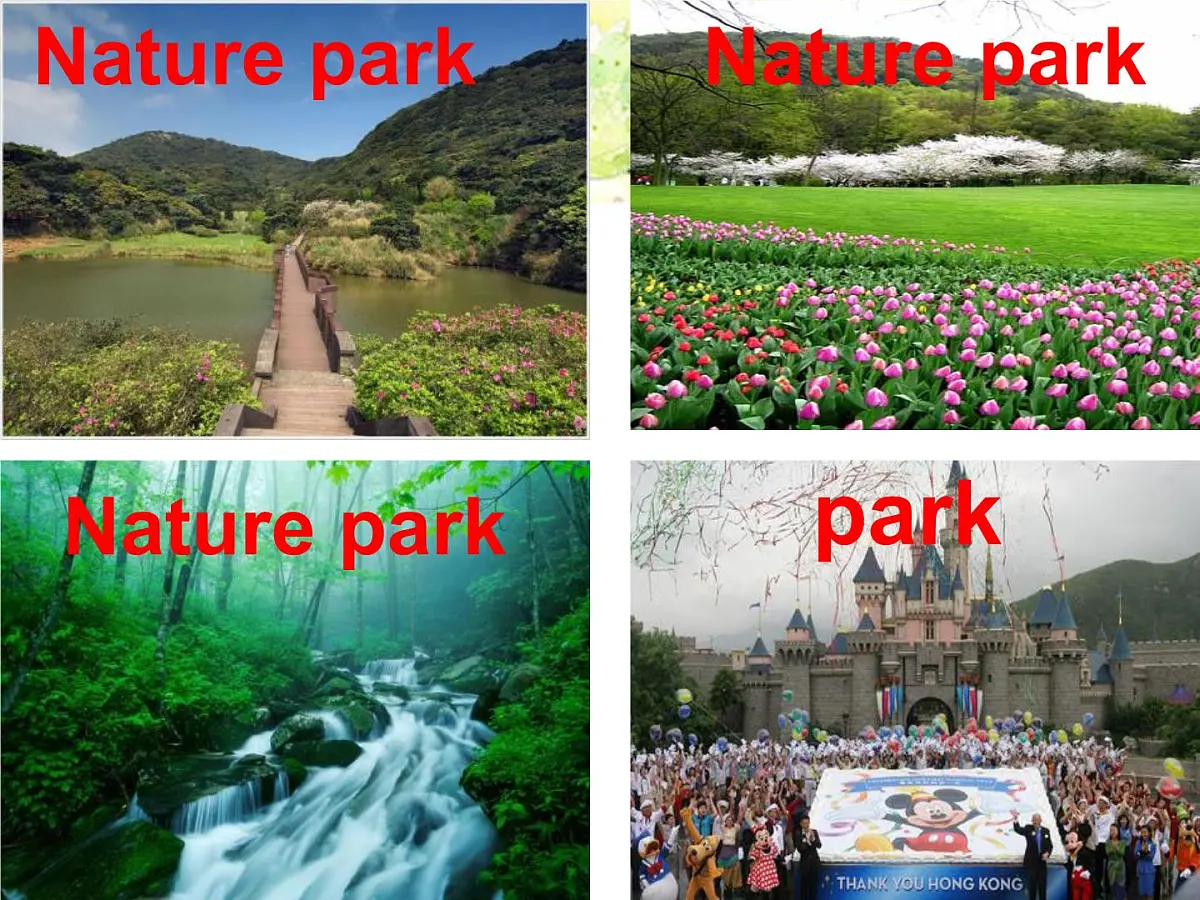 人教PEP英语五年级上册Unit 6 In a nature park Part A Let's learn(课件)第2页