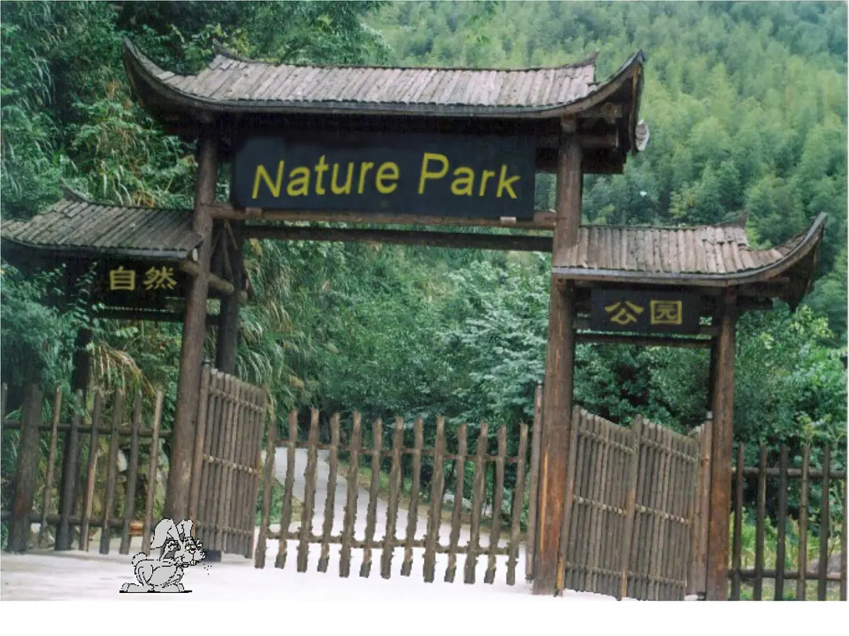 人教PEP英语五年级上册Unit 6 In a nature park Part A Let's learn(课件)第3页