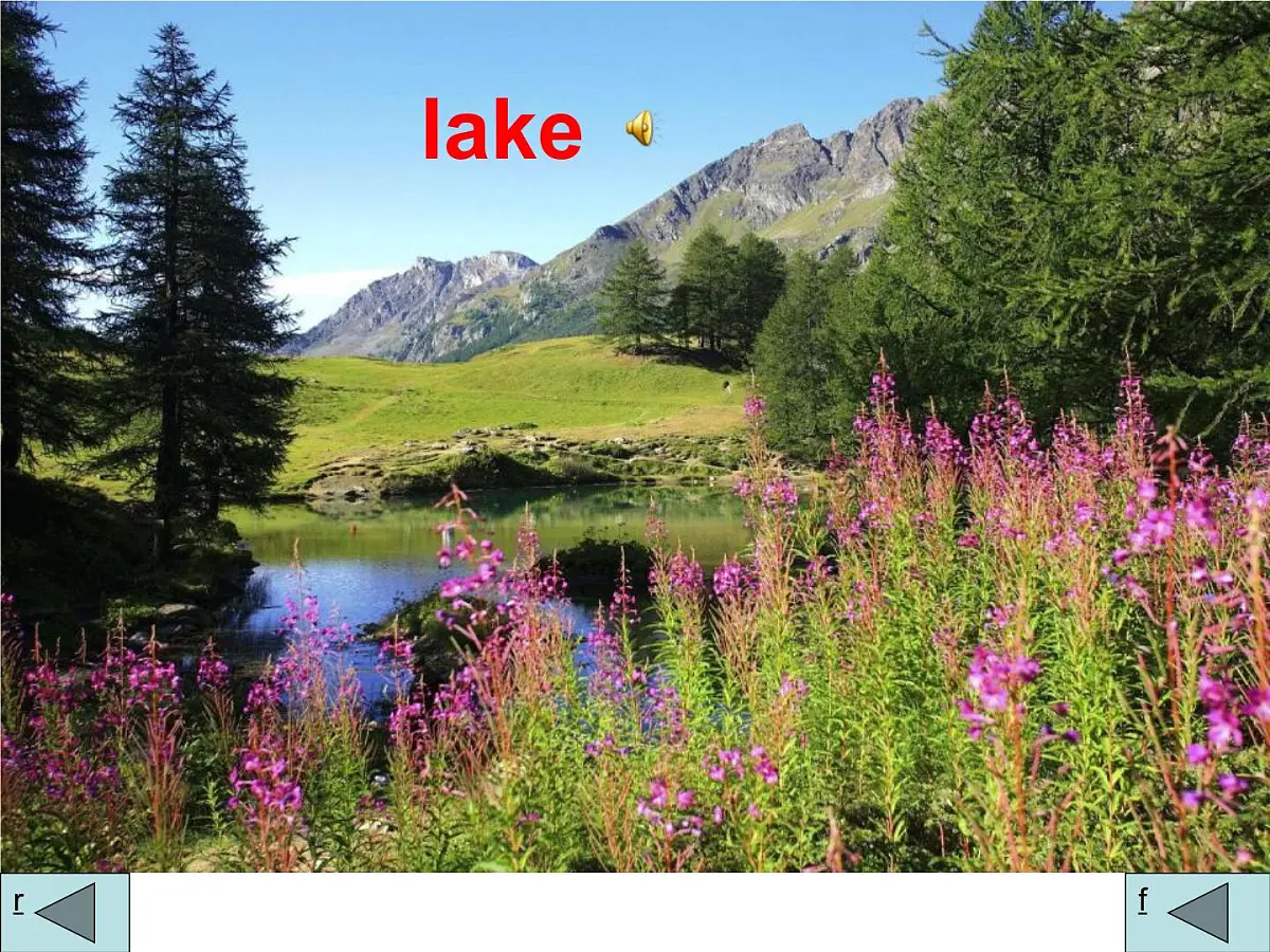 人教PEP英语五年级上册Unit 6 In a nature park Part A Let's learn(课件)第6页