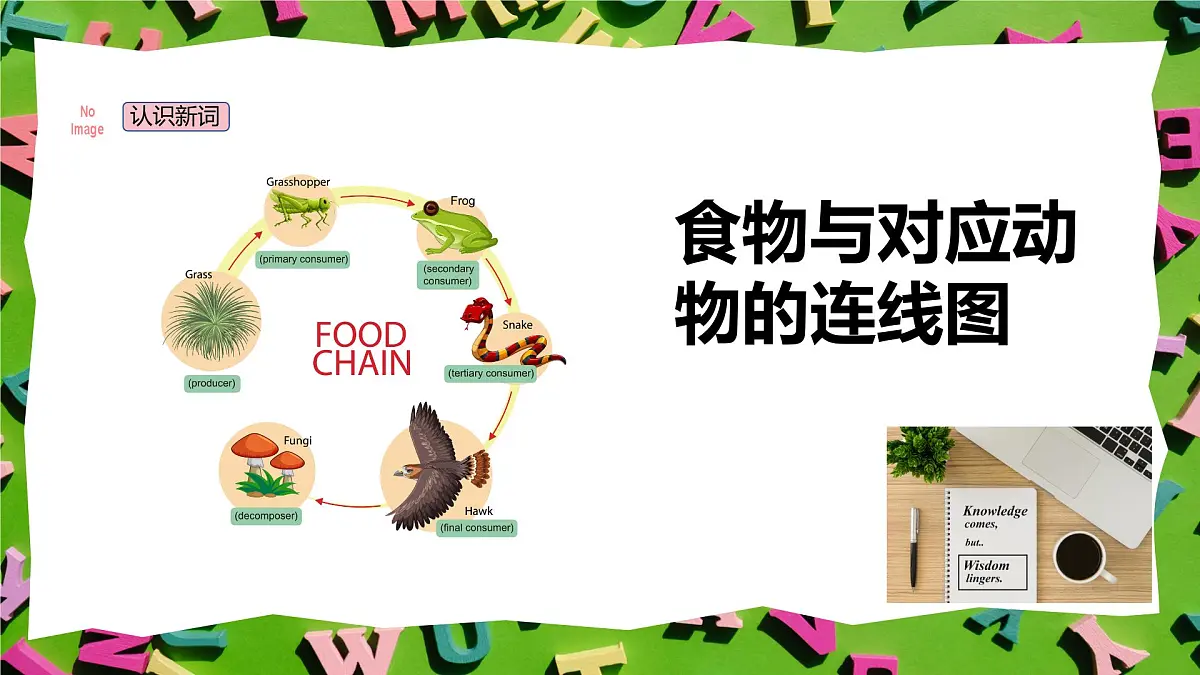 人教版三年级上册英语9《动物的食物》PPT课件第6页