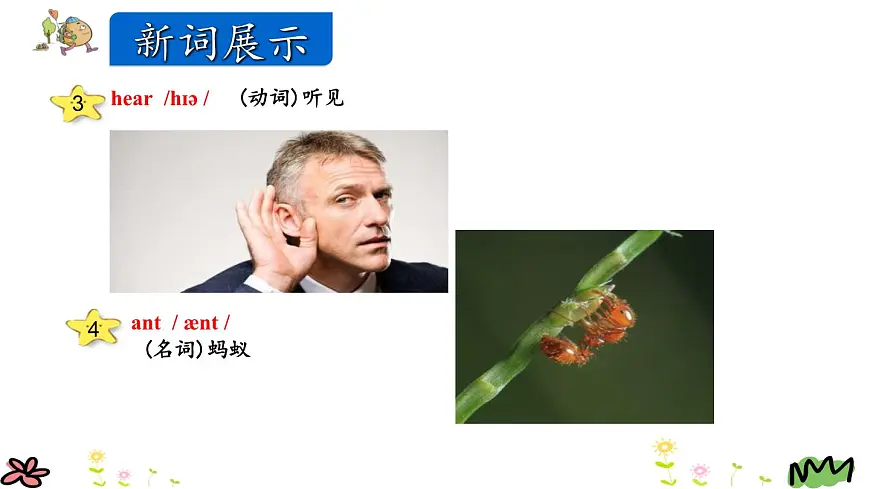 人教版六年级上册英语Unit6_B_Read_and_write精讲精练课件2第6页