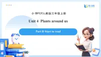 小学英语人教版PEP(2024)三年级上册(2024)Unit 4 Plants around us Part B备课ppt课件