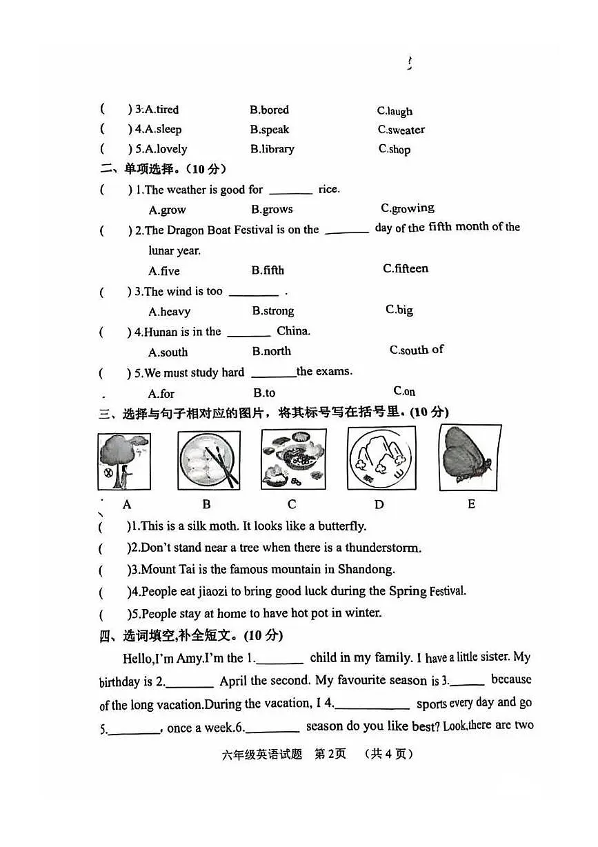 河南省濮阳市台前县2024-2025学年六年级下学期期末英语质量监测试题第2页