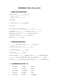 教科版六年级上册英语Unit3练习训练(含答案)