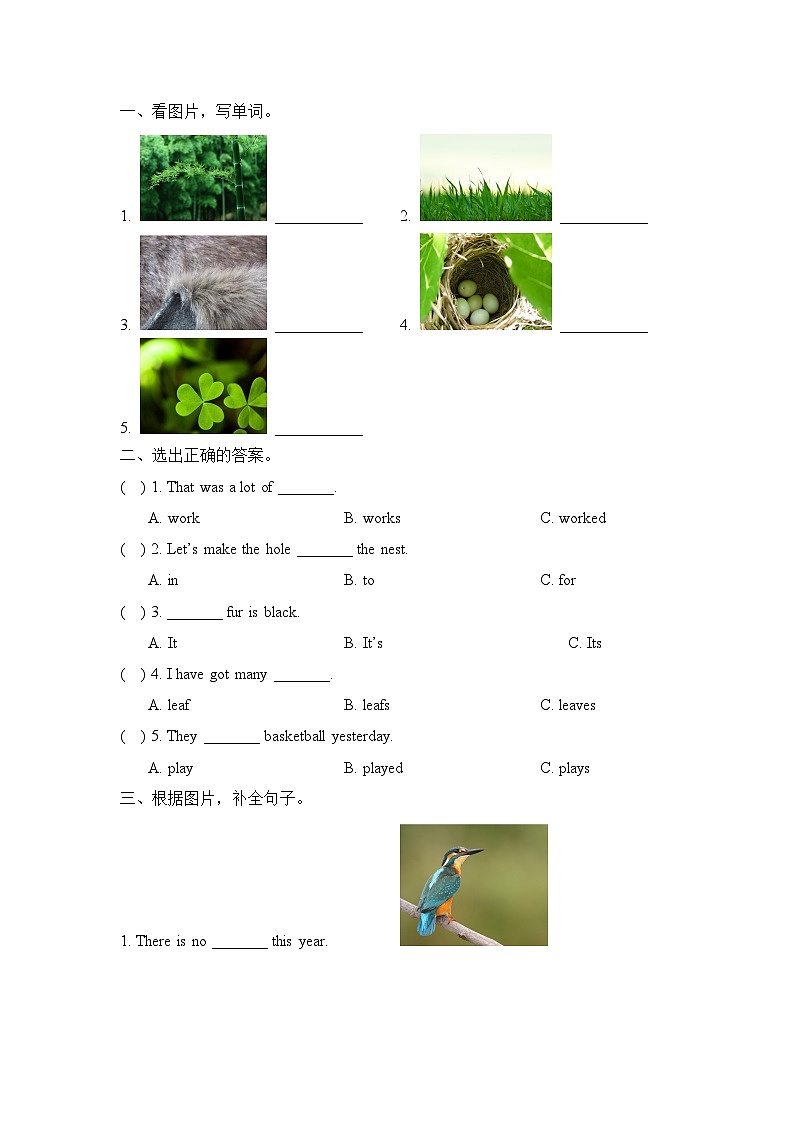 Unit 5 Animals in danger 单元测试卷第2页