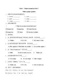 人教版PEP（2024）三年级上册（2024）Unit 4 Plants around us Part C测试题