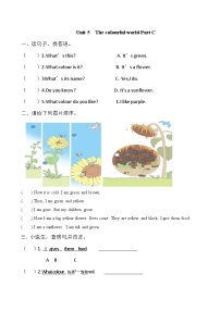 人教版PEP（2024）三年级上册（2024）Unit 5 The colourful world Part C习题