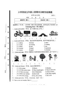 山东省临沂市莒南县2024-2025学年五年级上学期期末英语试题及答案