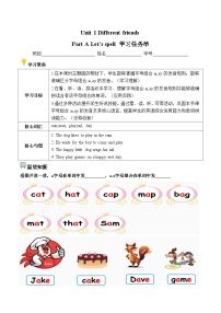 人教版PEP（2024）五年级上册（2024）Part A第3课时导学案及答案