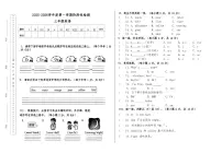 甘肃省天水市秦安县兴国镇第一小学2025-2026学年三年级上学期11月期中英语试题
