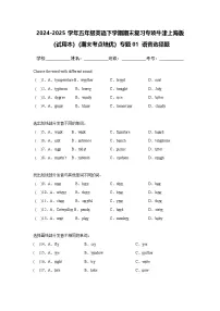 专题01 语音选择题-小学英语五下-期末复习专项牛津上海版(试用本)练习(含解析)