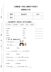2024版人教版三年级上册英语期末专项训练 易错难点专项