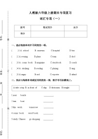 人教PEP六年级上册英语期末专项复习词汇专项训练