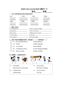 小学译林版（三起）（2024）Unit 3 Are you Su Hai?练习题