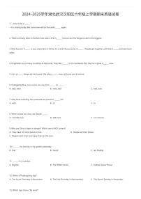 2024~2025学年湖北武汉汉阳区六年级上学期期末英语试卷（有答案解析）