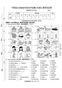 浙江省温州市平阳县2024-2025学年六年级上学期1月期末英语试题