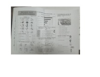 内蒙古自治区呼伦贝尔市鄂伦春自治旗2025-2026学年五年级上学期1月期末英语试题