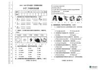黑龙江省绥化市望奎县2024-2025学年三年级上学期期末英语试题（含答案）