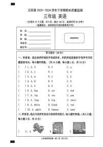 云南省红河哈尼族彝族自治州元阳县2023-2024学年三年级下学期期末英语试题