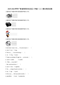 2025-2026学年广东省深圳市宝安区三年级(上)期末英语试卷-普通用卷