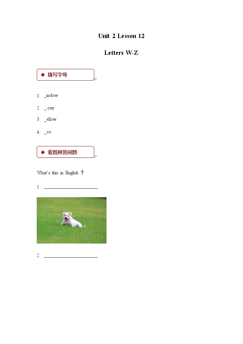 Unit 2_Lesson 12_Letters W_Z_同步练习01