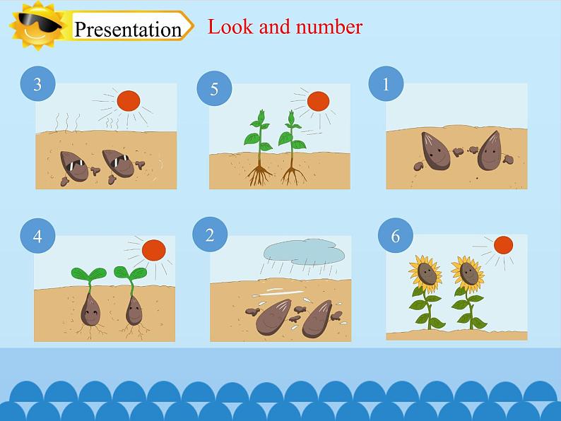 四年级下册英语课件-Module 4 Unit 10 My garden Period 3 沪教牛津版(深圳用)04