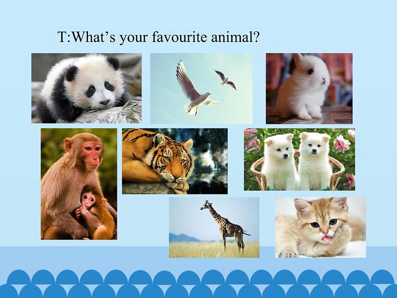 六年级下册英语课件-UNIT ONE WHAT ARE YOU LOOKING FOR? Lesson 3 北京课改版02