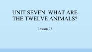 小学英语北京版六年级上册Unit 7 What are the twelve animals?Lesson 23教课内容免费ppt课件