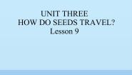 小学英语北京版五年级下册Lesson 9图片免费ppt课件