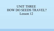 五年级下册Lesson 12教课内容免费ppt课件