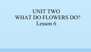 小学英语北京版五年级下册Lesson 6教案配套免费课件ppt