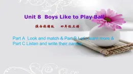 Unit 8  Boys Like to Play Ball  第三课时 课件