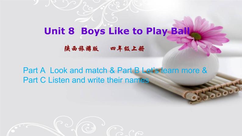 Unit 8  Boys Like to Play Ball  第三课时 课件01