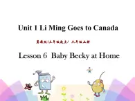 Unit 1 Li Ming Goes to Canada Lesson6 课件