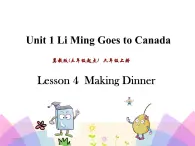 Unit 1 Li Ming Goes to Canada Lesson4 课件